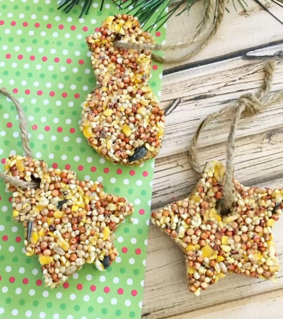 5-9 YRS FEATHERED FRIENDS ON WEDNESDAY JANUARY 14TH @ 4:30-5:30