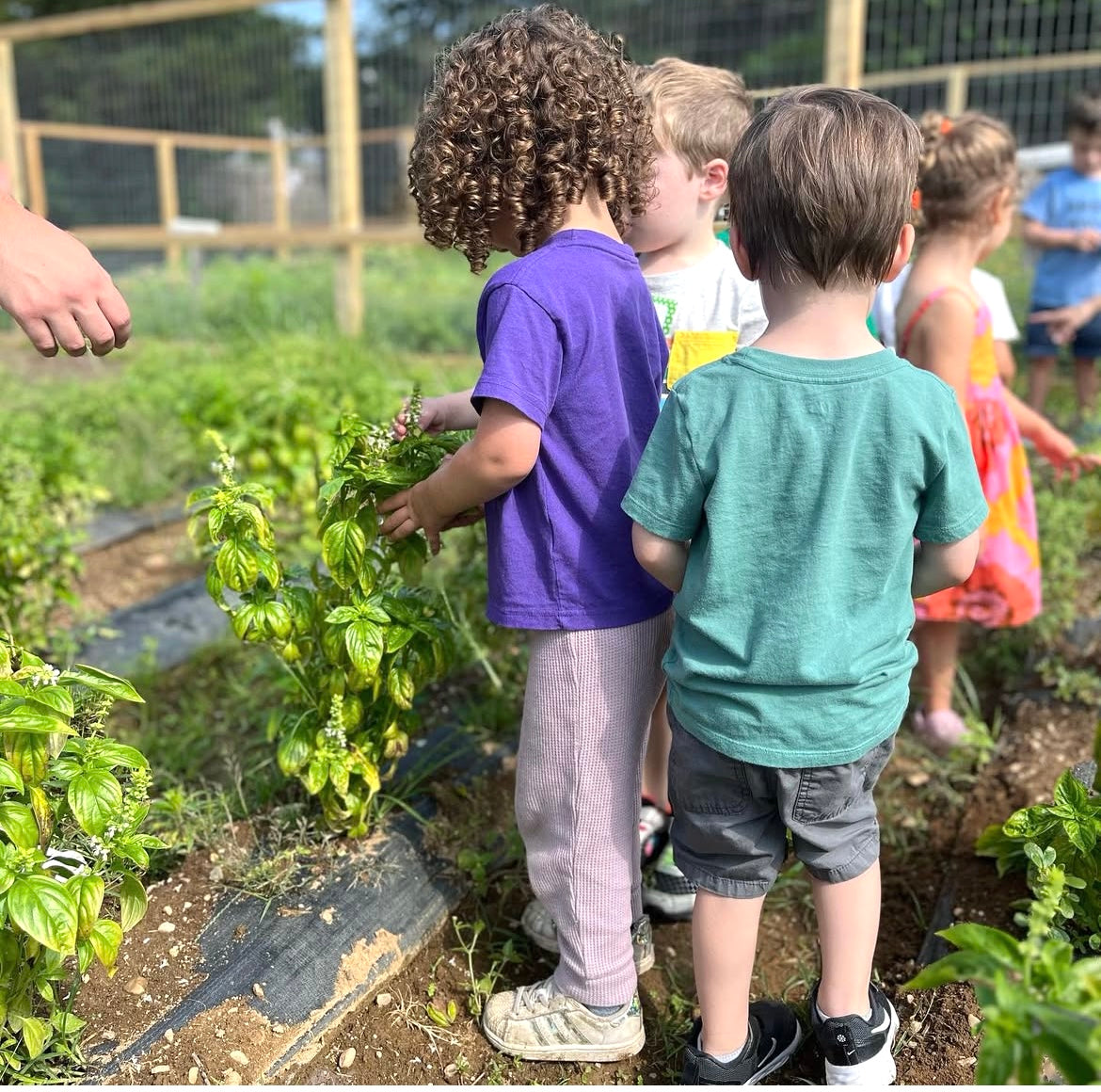 AGES 2-4YRS SEEDLINGS SERIES: LAST LICKS OF SUMMER # 2 ON AUGUST 27TH @ 9:45-10:45 AM