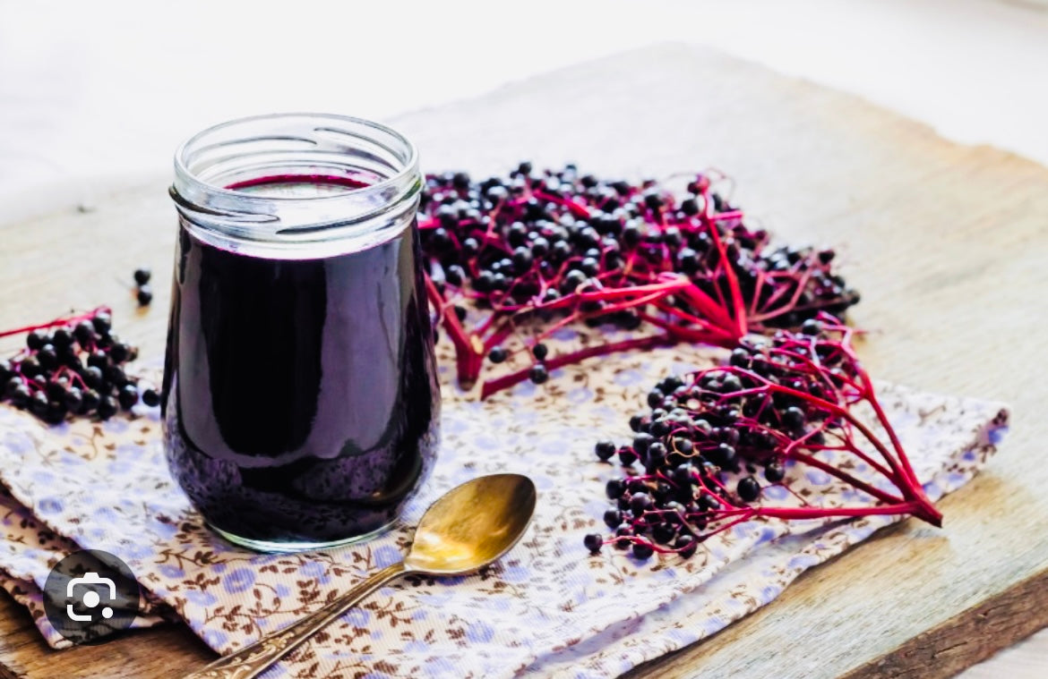 ADULTS ORGANIC ELDERBERRY SYRUP WORKSHOP ON SUNDAY DECEMBER 7TH @ 11-12PM