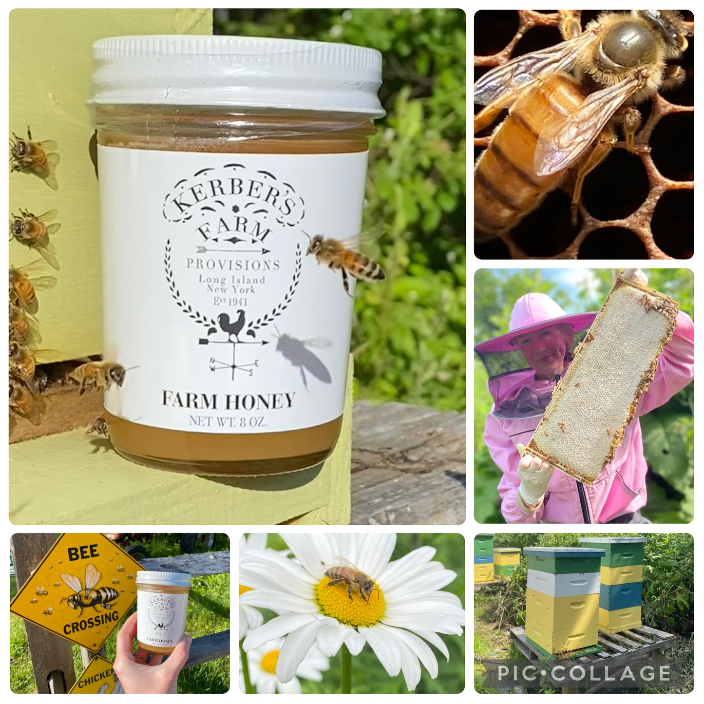 ALL ARE WELCOME HONEY HARVEST ON SATURDAY SEPTEMBER 5TH @ 10:30 AM