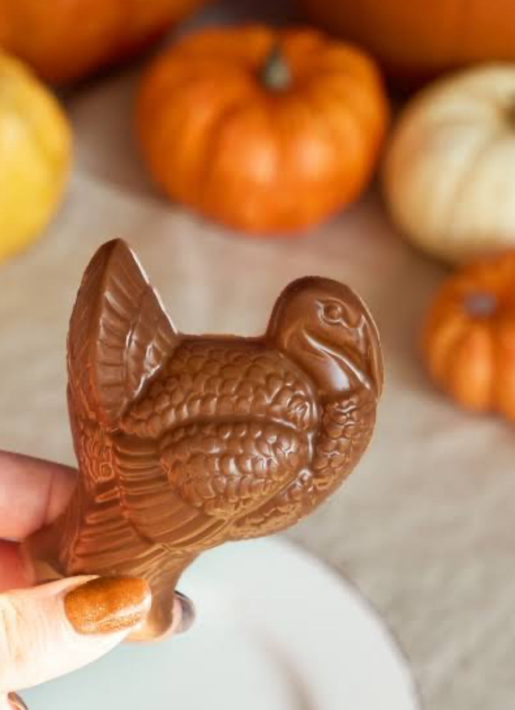 5-10 YRS CALLING ALL CHOCOLATIERS! ON WEDNESDAY NOVEMBER 19TH @ 4:30-5:30