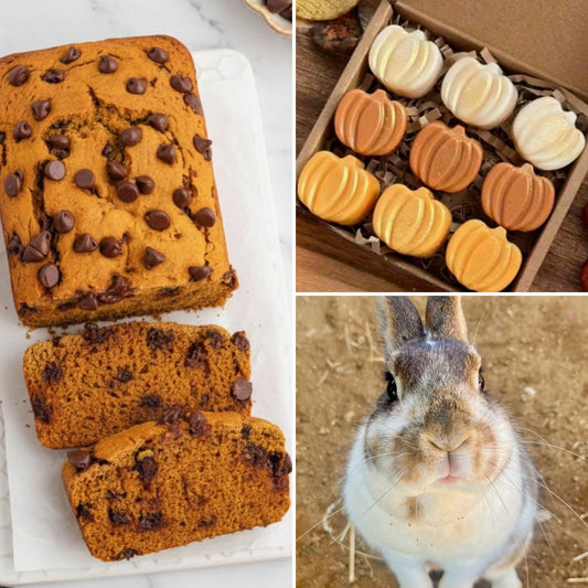 5-10YRS PUMPKIN SPICE & EVERYTHING NICE ON WEDNESDAY OCTOBER 15TH @ 4:30-5:30