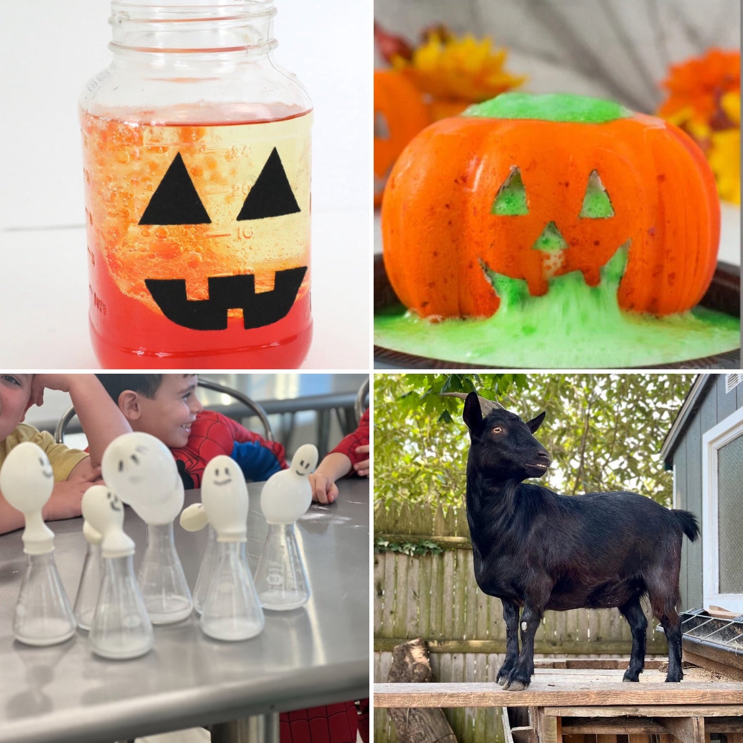5-10YRS HALLOWEEN CHEMISTRY ON WEDNESDAY OCTOBER 29TH @ 4:30-5:30