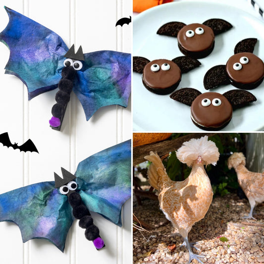 5-10YRS WINGS & THINGS ON WEDNESDAY OCTOBER 8TH @ 4:30-5:30