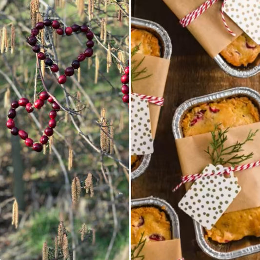 5-10YRS CRANBERRY CREATIONS ON WEDNESDAY DECEMBER 17TH @ 4:30-5:30PM