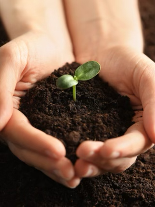 AGES 3-4 YRS - Seedlings on the Farm with Cassidy TUESDAY FEBRUARY 25TH  AT 4:30-5:15 PM