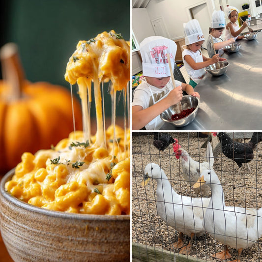 5-10YRS FROM FARM TO FORK: MAC & CHEESE ON WEDNESDAY OCTOBER 22ND @ 4:30-5:30