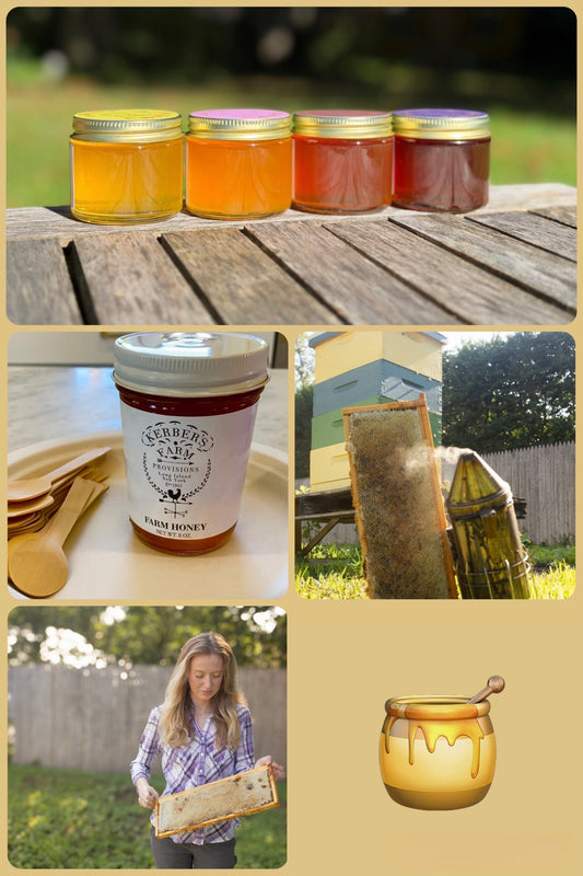 TEEN/ADULT HONEY TASTING & PAIRING EXPERIENCE ON SUNDAY NOVEMBER 15TH @ 11:30-12:30