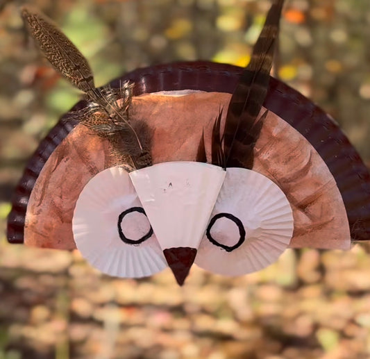 6-12 YRS ALL ABOUT OWLS ON WEDNESDAY OCTOBER 7TH @ 4:30-5:30