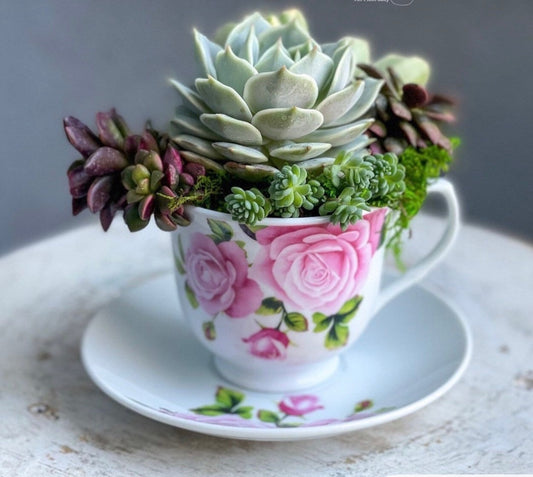 5-10 YRS MOTHER'S DAY TEACUP PLANTER ON WEDNESDAY MAY 6TH @ 4:30-5:30