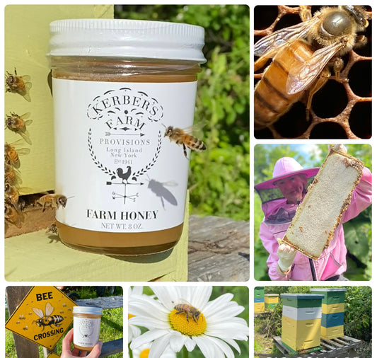 ADULT BEEKEEPING WINTER SERIES ( 5 SESSIONS) BEGINNING ON SUNDAY JANUARY 11TH @ 11-12/12:30 PM