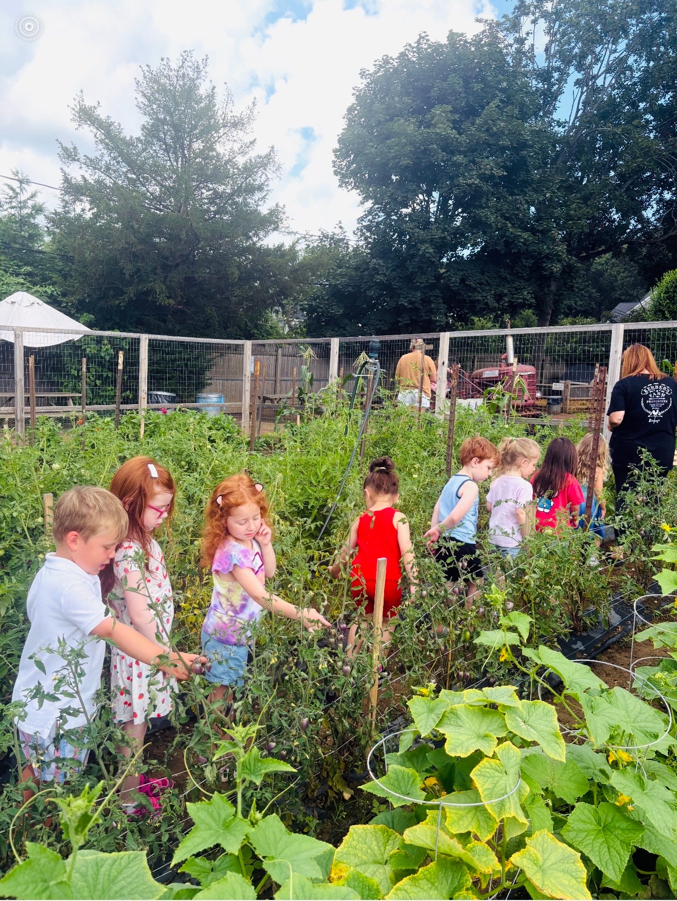 SESSION 2: LITTLE SCIENTISTS - FOR AGES 3-5 JULY 14-16