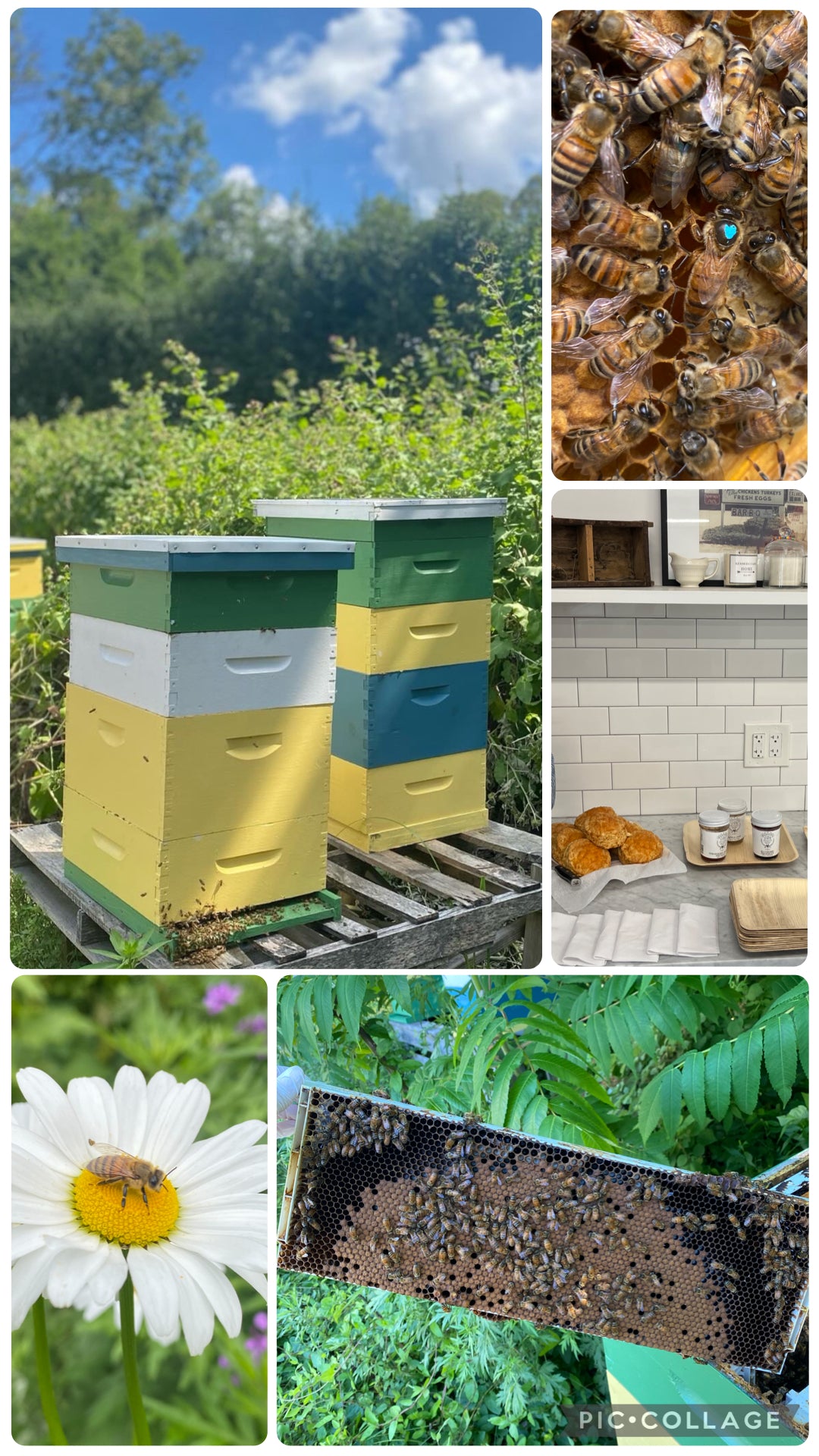 ADULTS: KERBER'S FARM HIVE TOUR & REFRESHMENTS ON SATURDAY APRIL 18TH @ 10:30