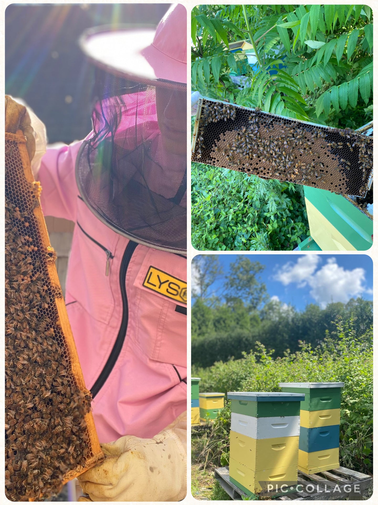 ADULTS :SPRING HANDS-ON BEEKEEPING SERIES STARTING MAY 16TH