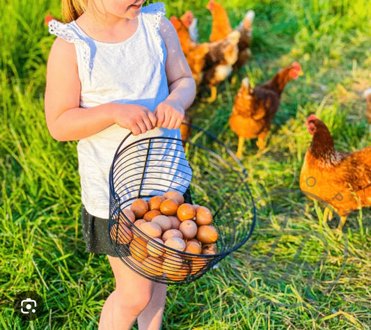 5-10 YRS FROM COOP TO KITCHEN: THE EGG EXPERIENCE ON WEDNESDAY APRIL 1ST @ 4:30-5:30